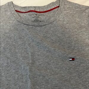 Tommy Hilfiger Heather Gray Men's Tee